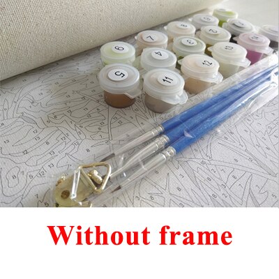 Painting by numbers Frameless andpainted Canvas Painting Diy oil painting with brush paint